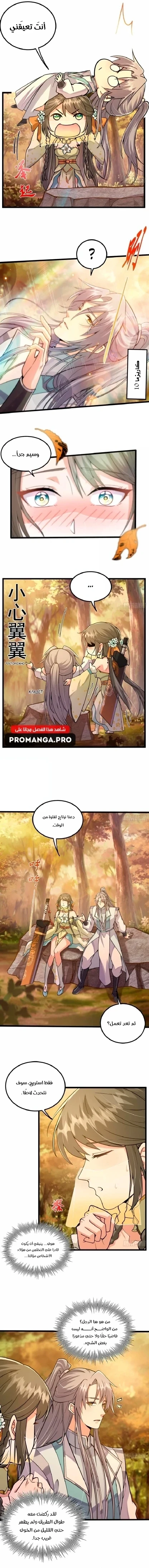 Chapter Image 4