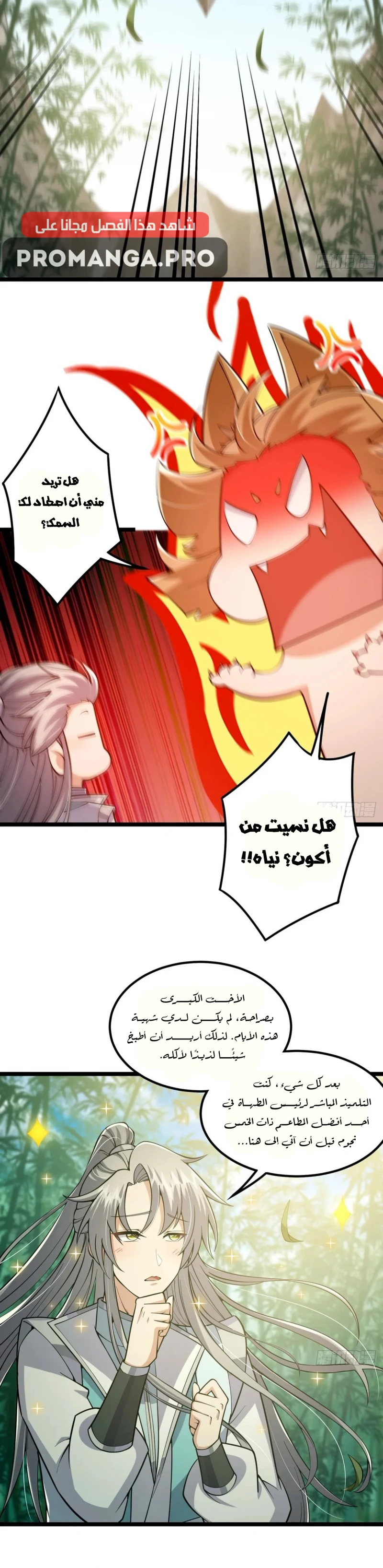 Chapter Image 21