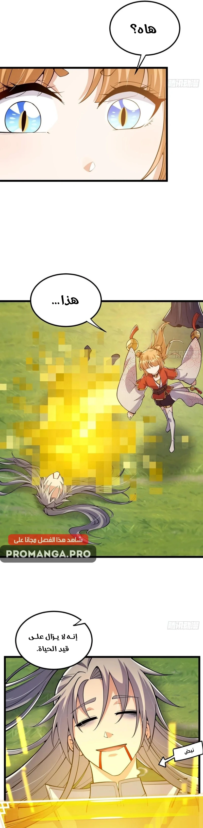 Chapter Image 17