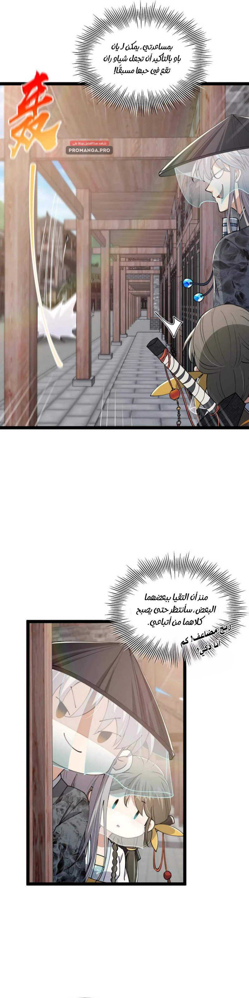 Chapter Image 5