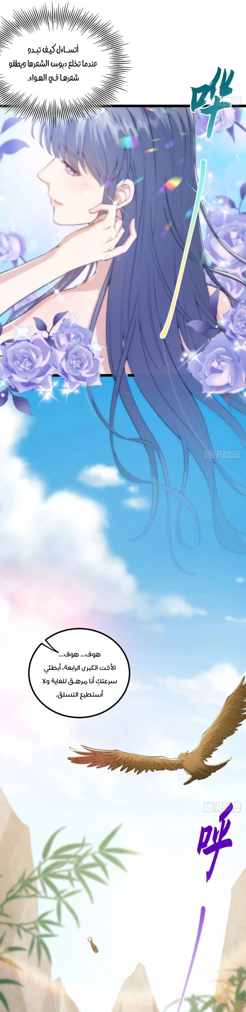 Chapter Image 3
