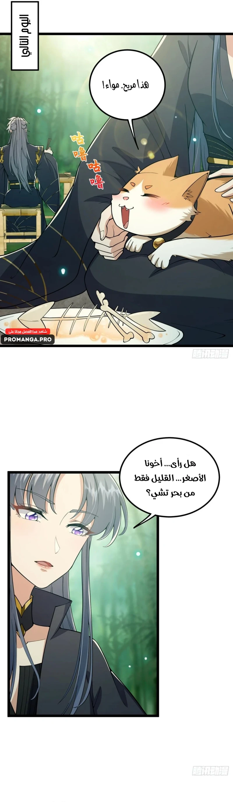 Chapter Image 2