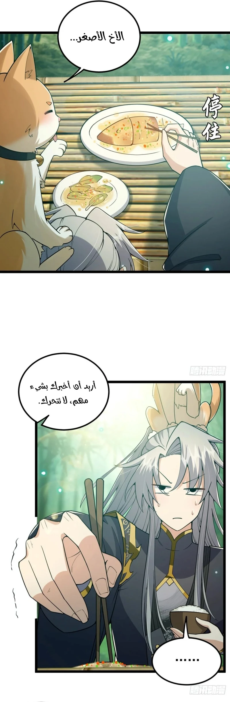 Chapter Image 5