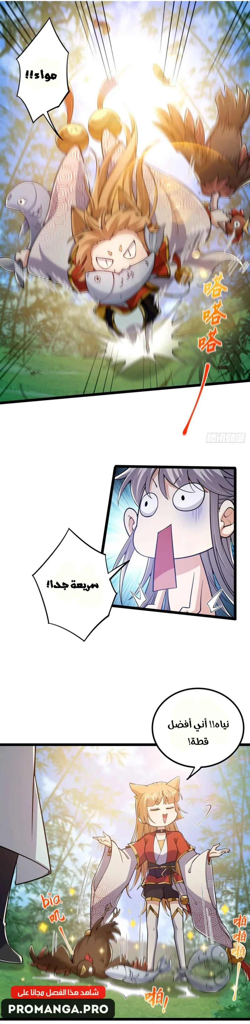 Chapter Image 2