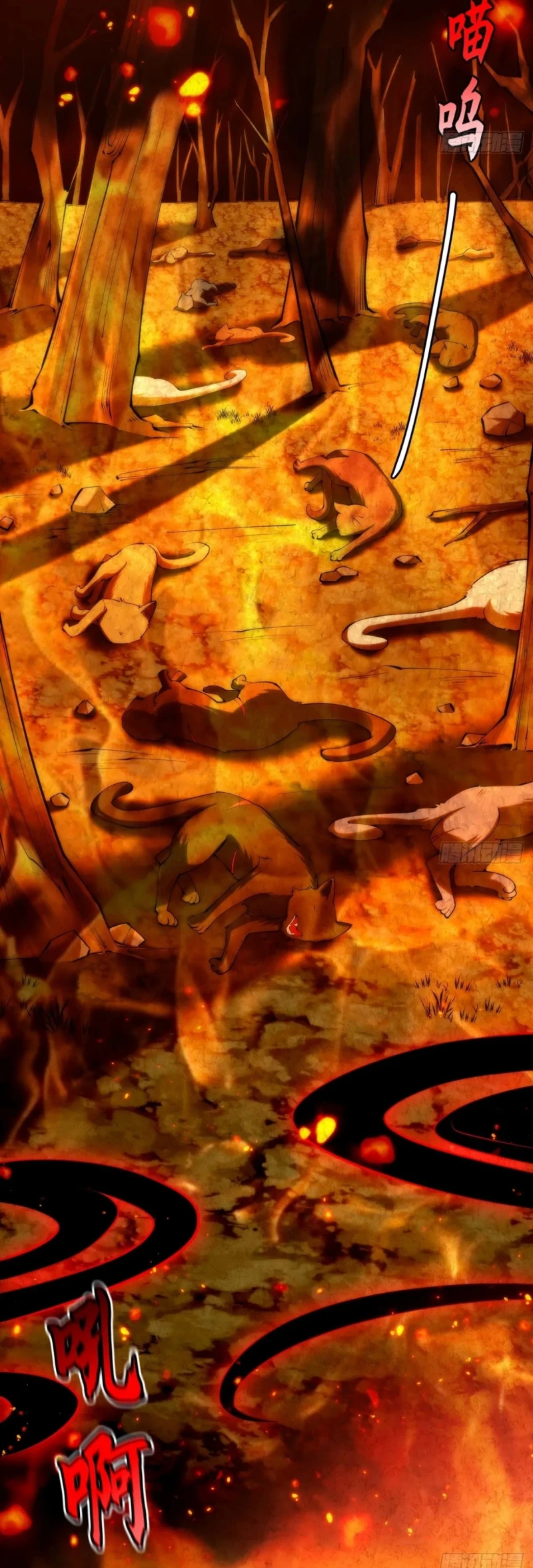 Chapter Image 5
