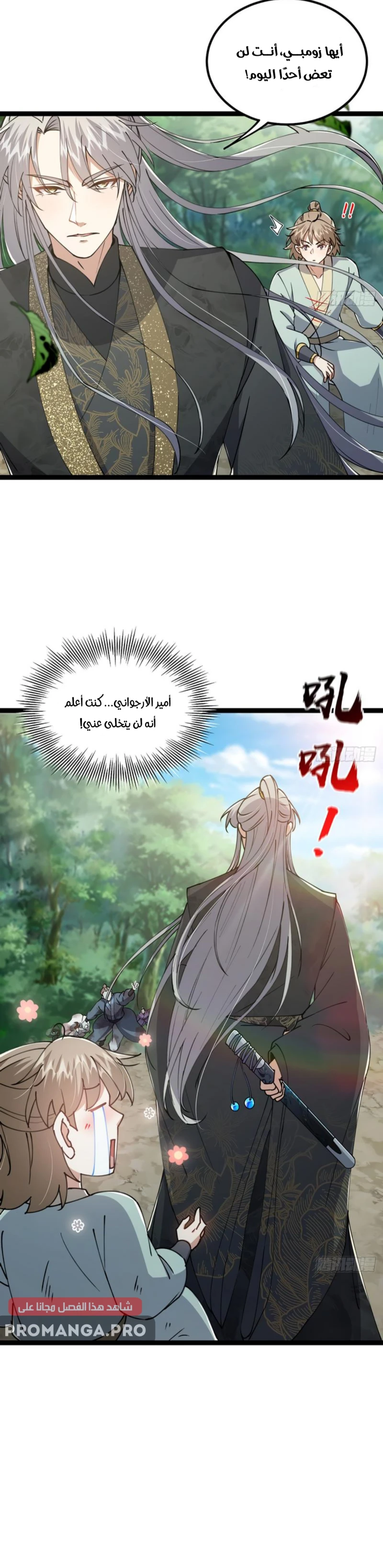 Chapter Image 17