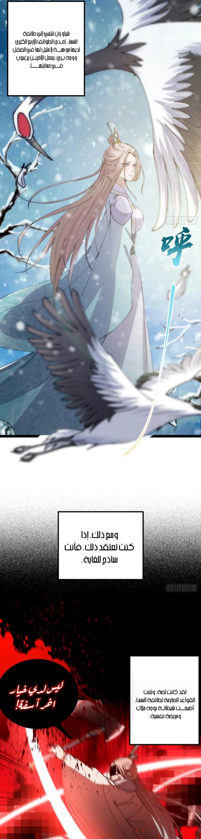 Chapter Image 5