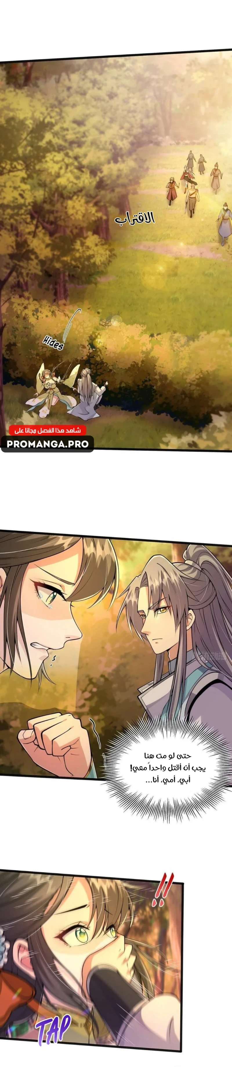 Chapter Image 7