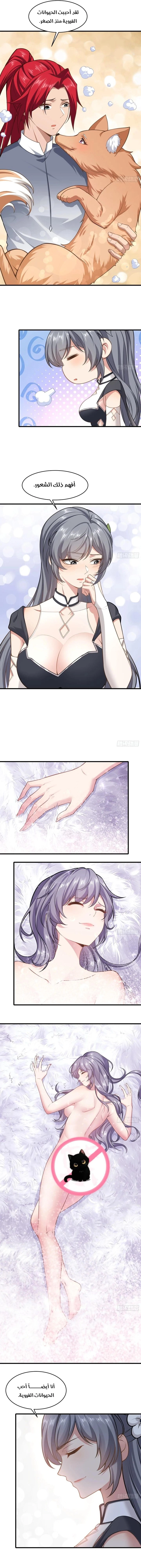 Chapter Image 7