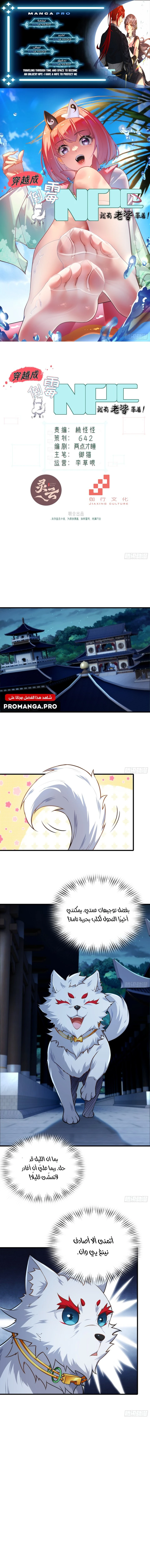 Chapter Image 1