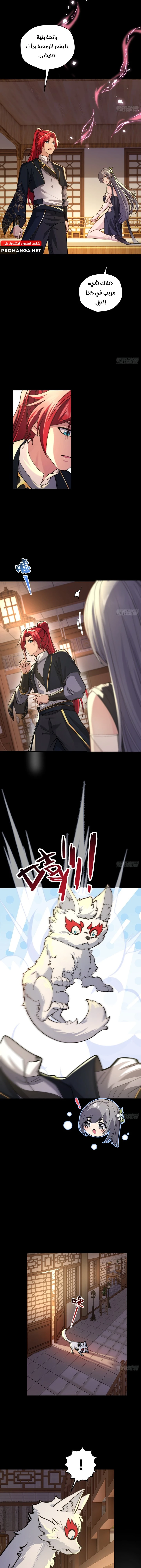 Chapter Image 5
