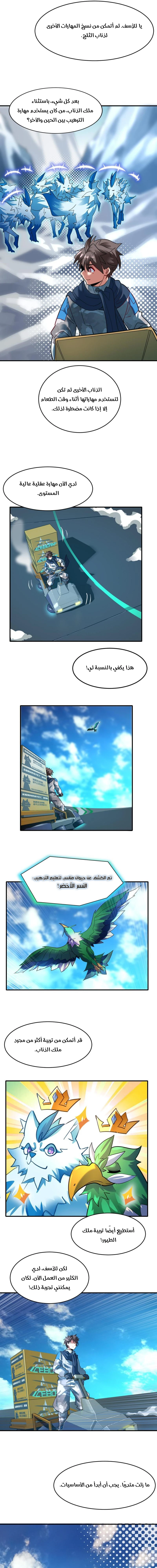 Chapter Image 4