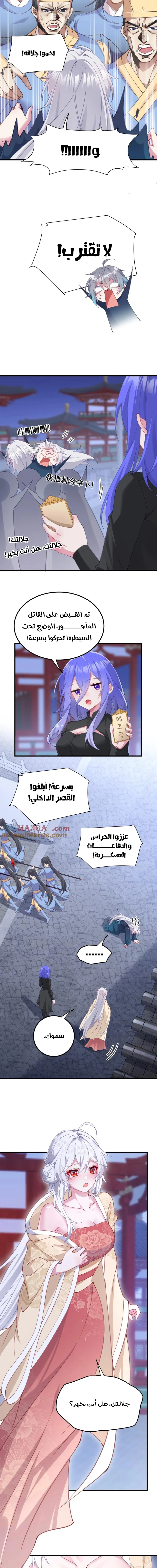 Chapter Image 5