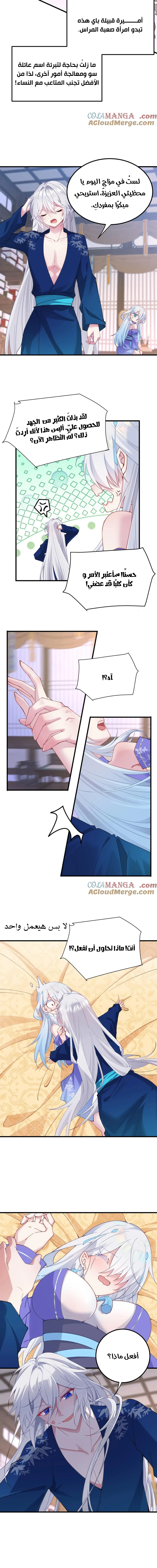 Chapter Image 11