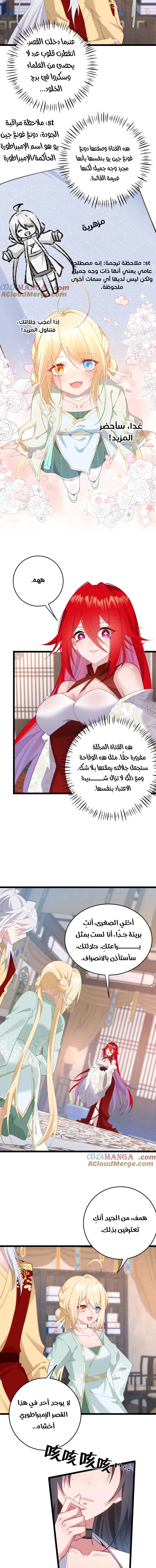 Chapter Image 3