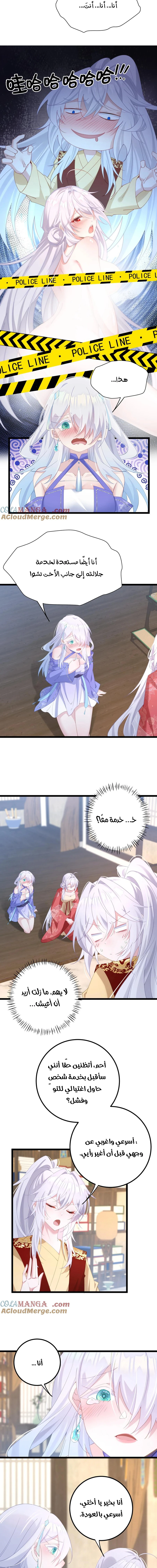 Chapter Image 5