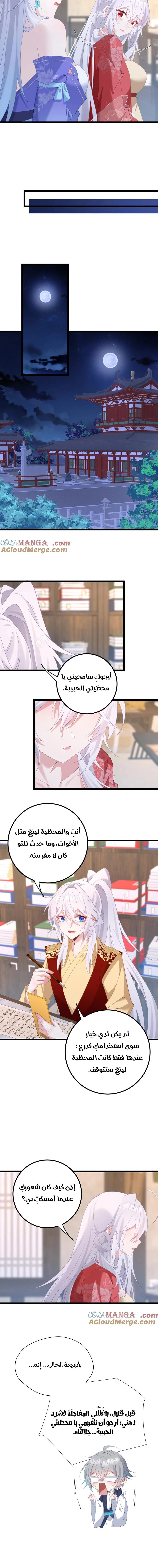 Chapter Image 6