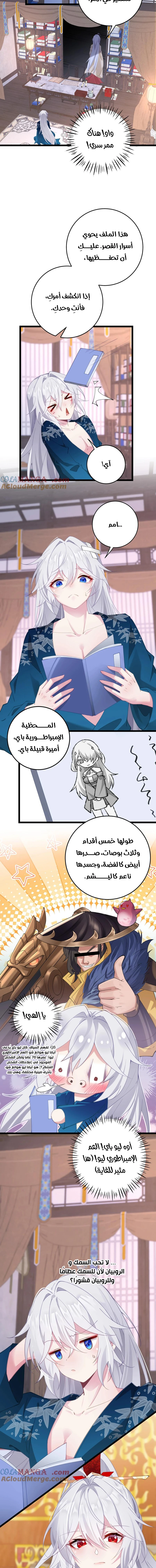 Chapter Image 5