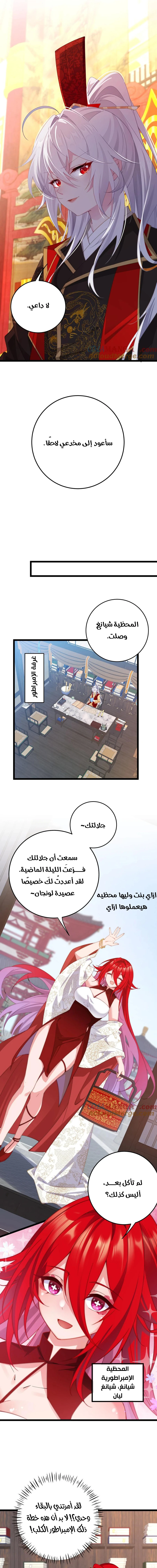 Chapter Image 8