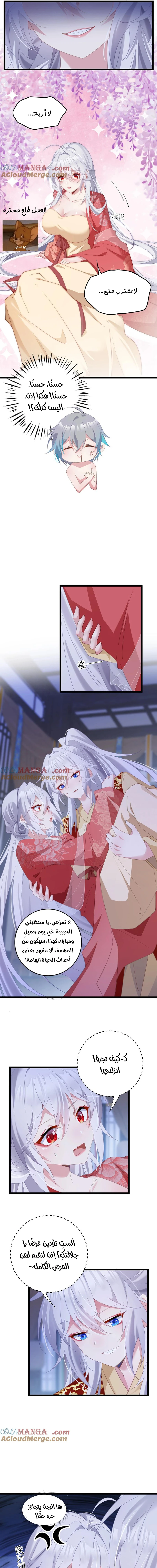 Chapter Image 8