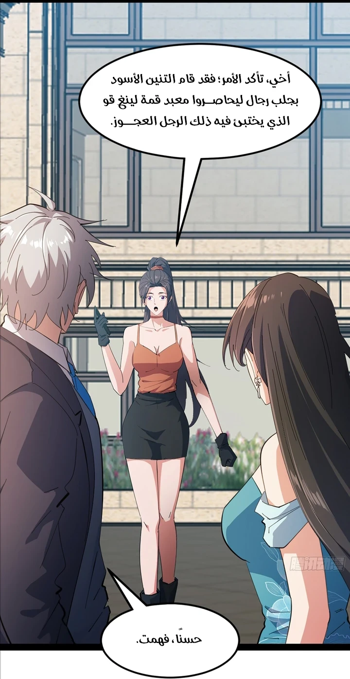 Chapter Image 15