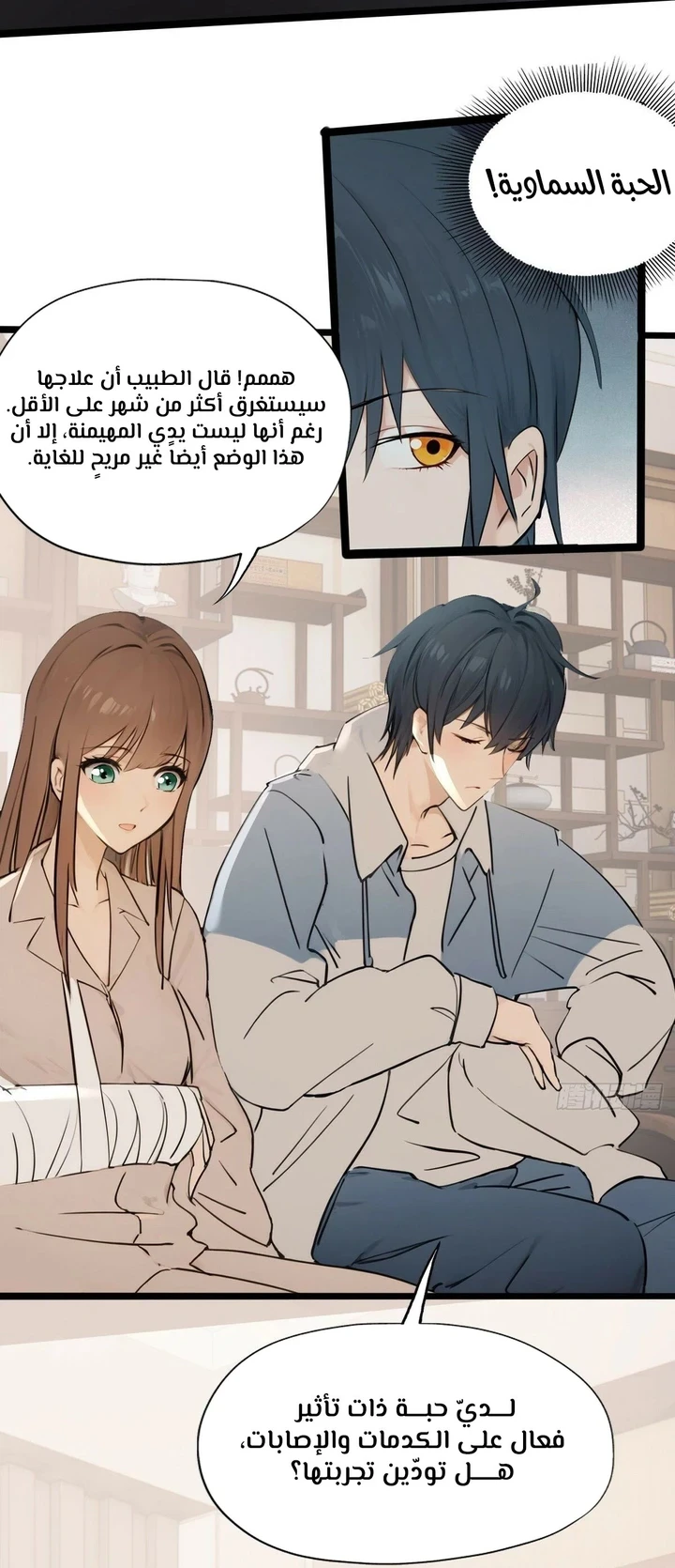 Chapter Image 13