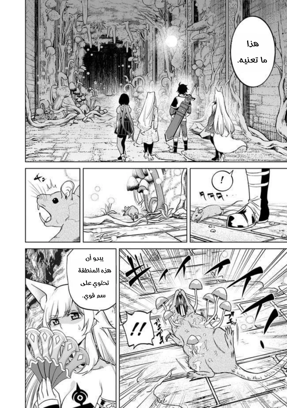 Chapter Image 5