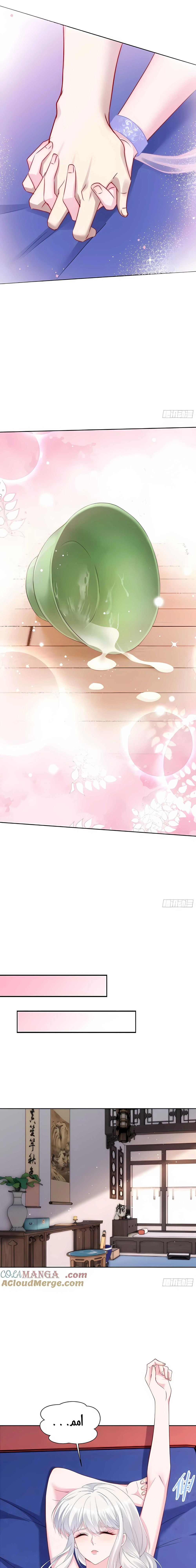 Chapter Image 13