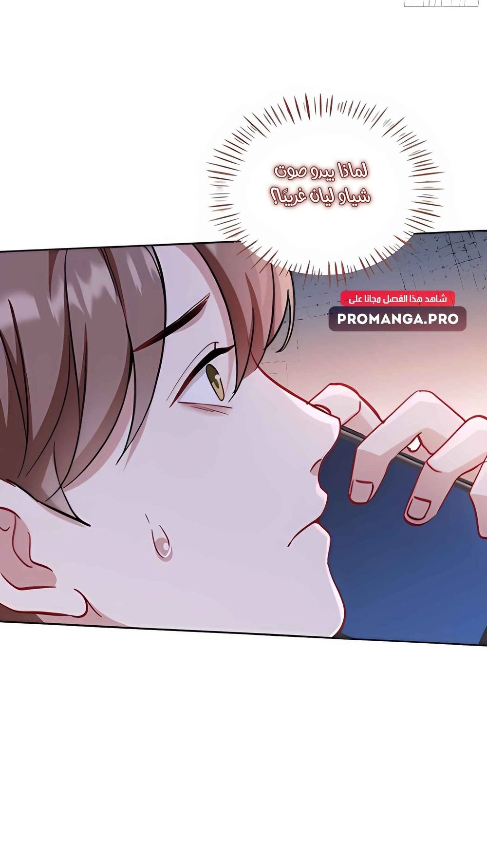 Chapter Image 6