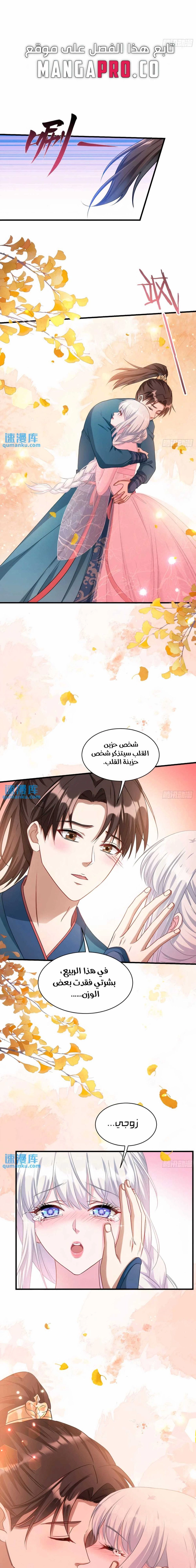 Chapter Image 13