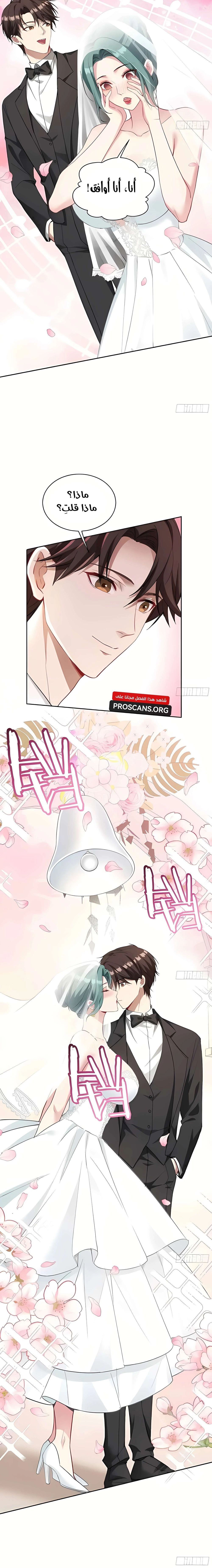 Chapter Image 16