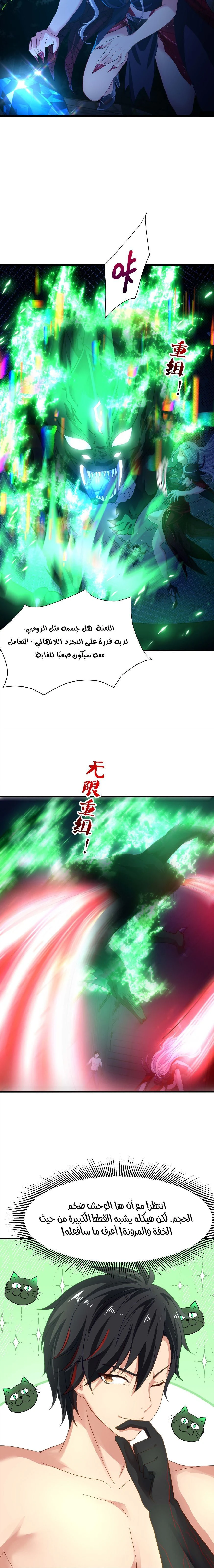 Chapter Image 4