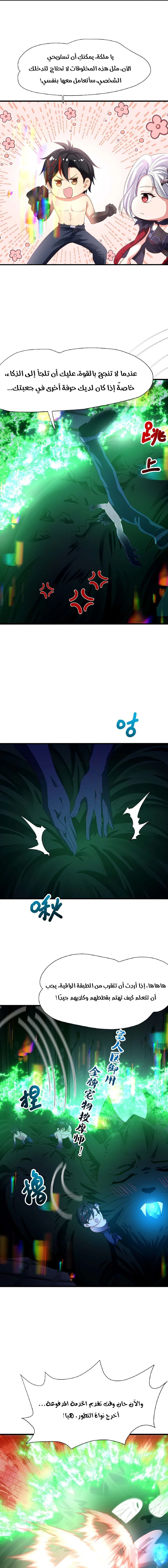 Chapter Image 5