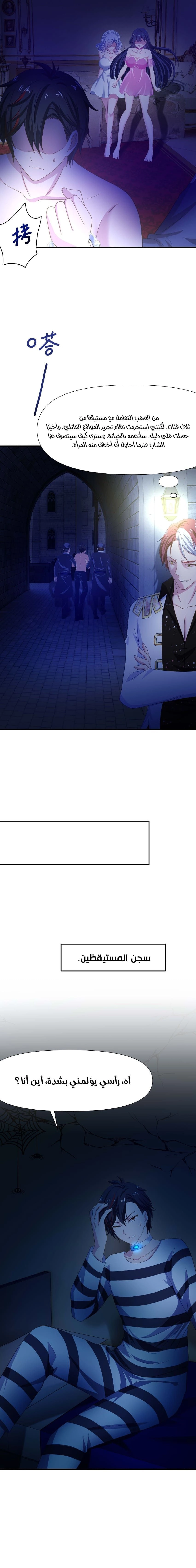 Chapter Image 4