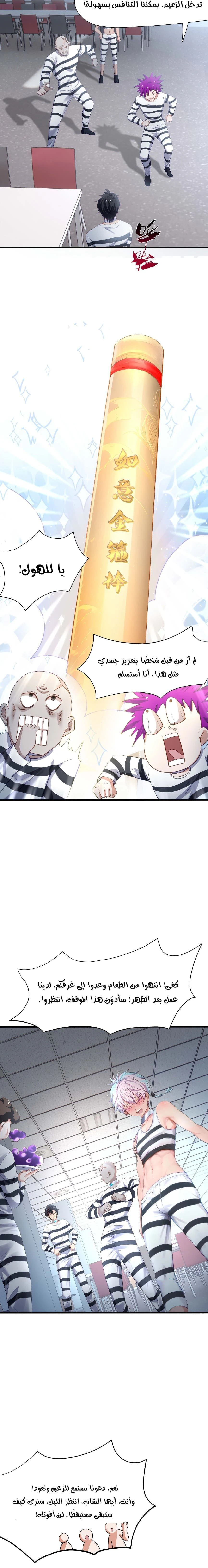Chapter Image 2