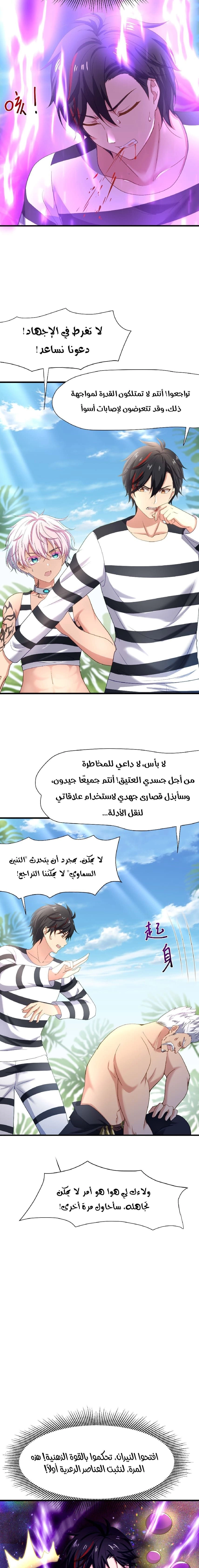 Chapter Image 4