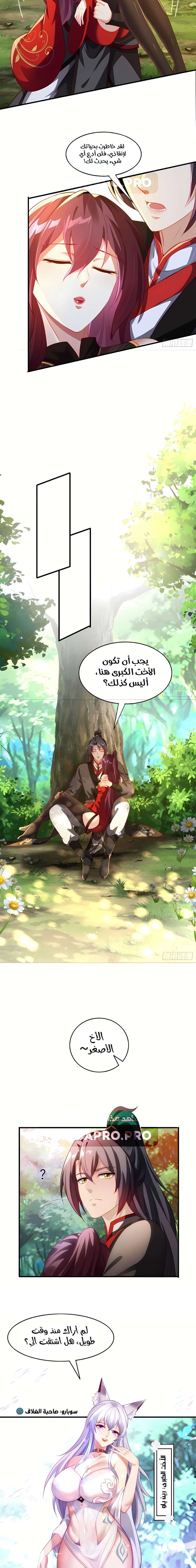 Chapter Image 13
