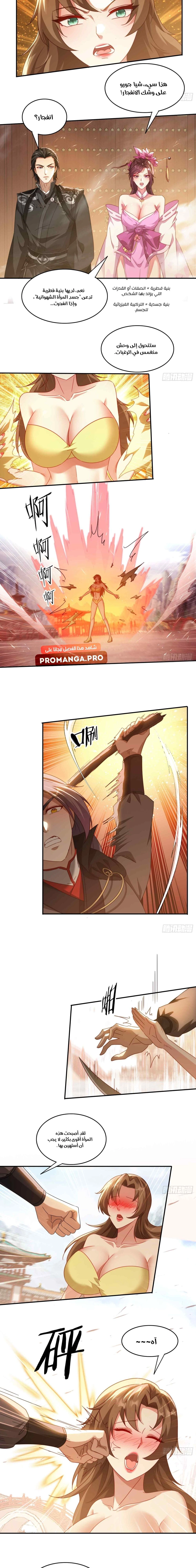 Chapter Image 5