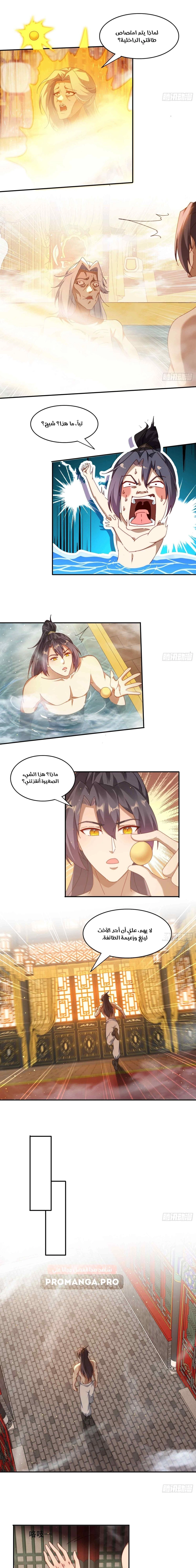 Chapter Image 5