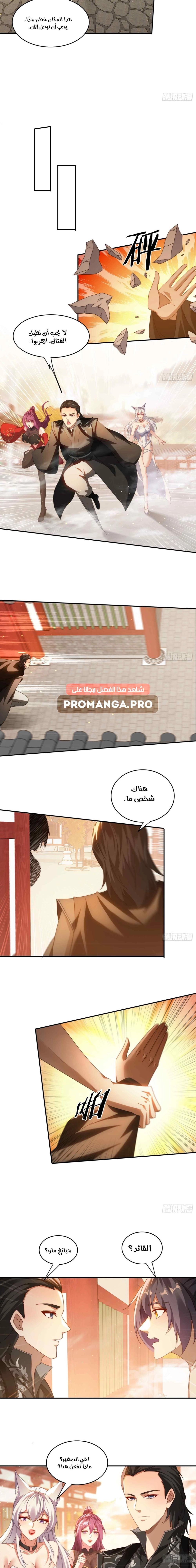Chapter Image 5