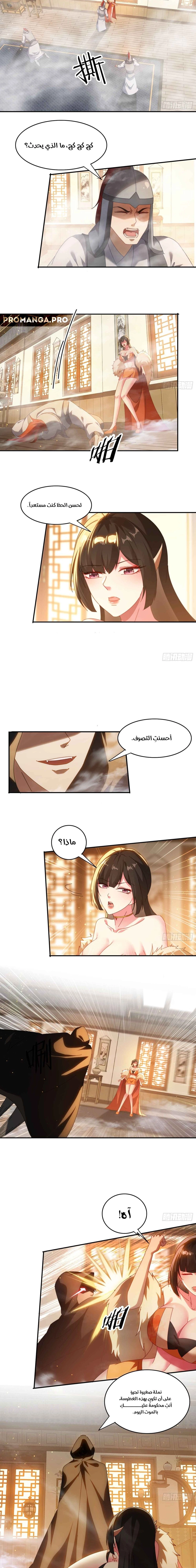 Chapter Image 2