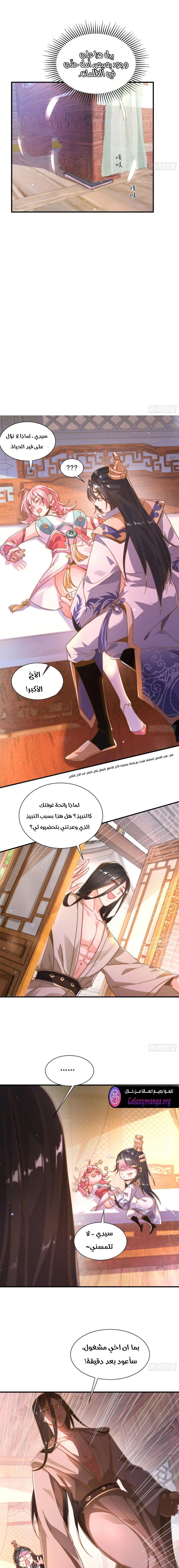 Chapter Image 3