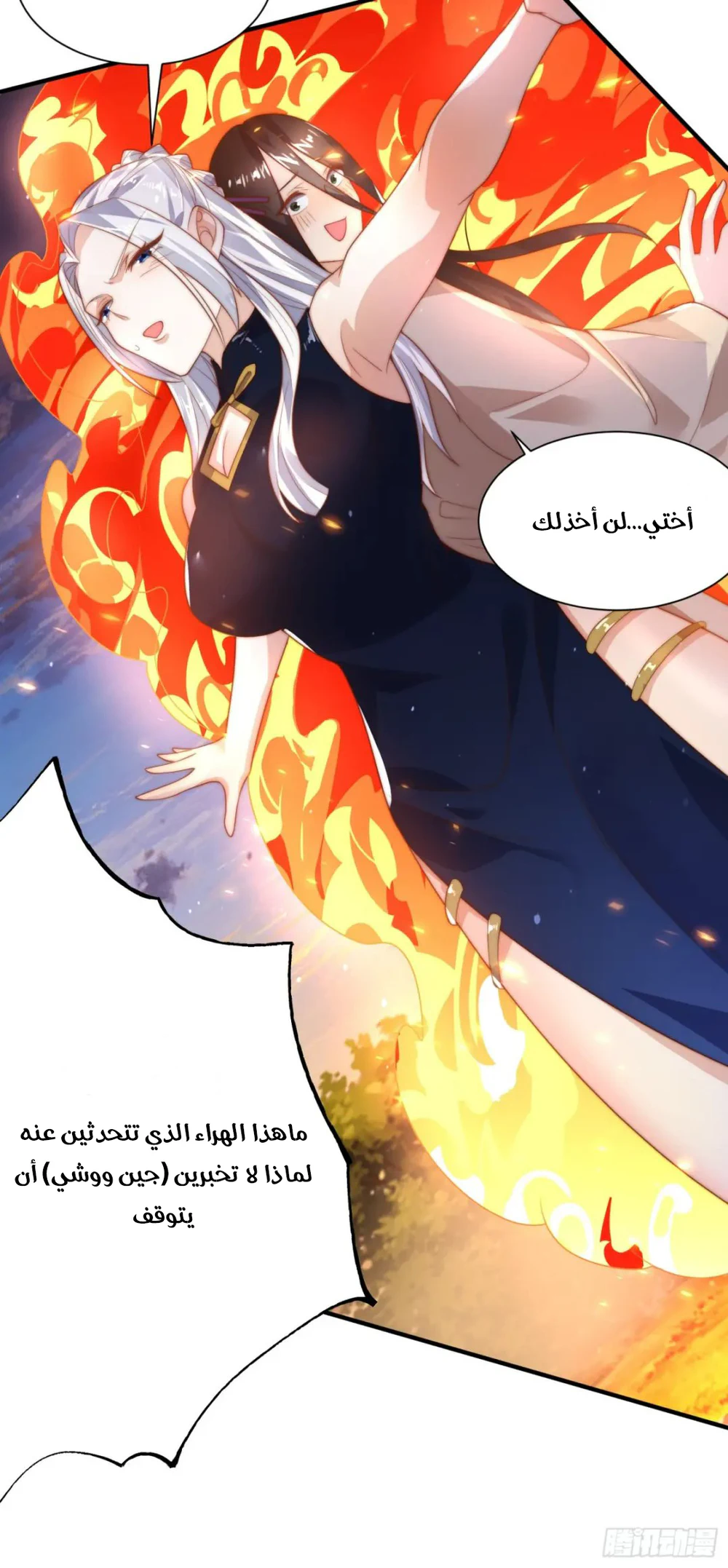 Chapter Image 20