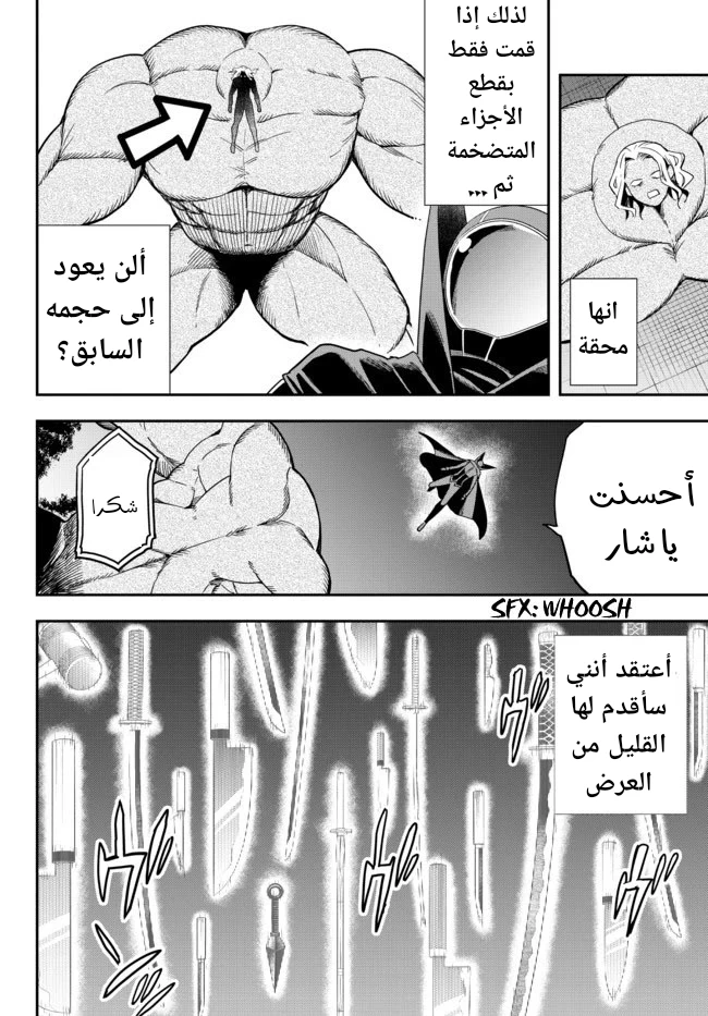 Chapter Image 22