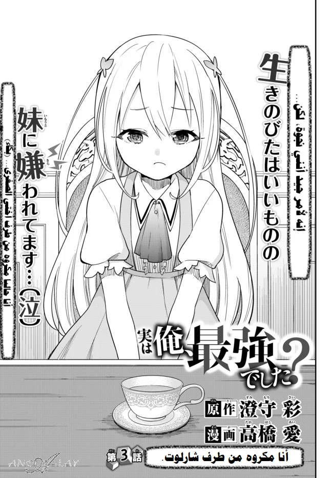 Chapter Image 3