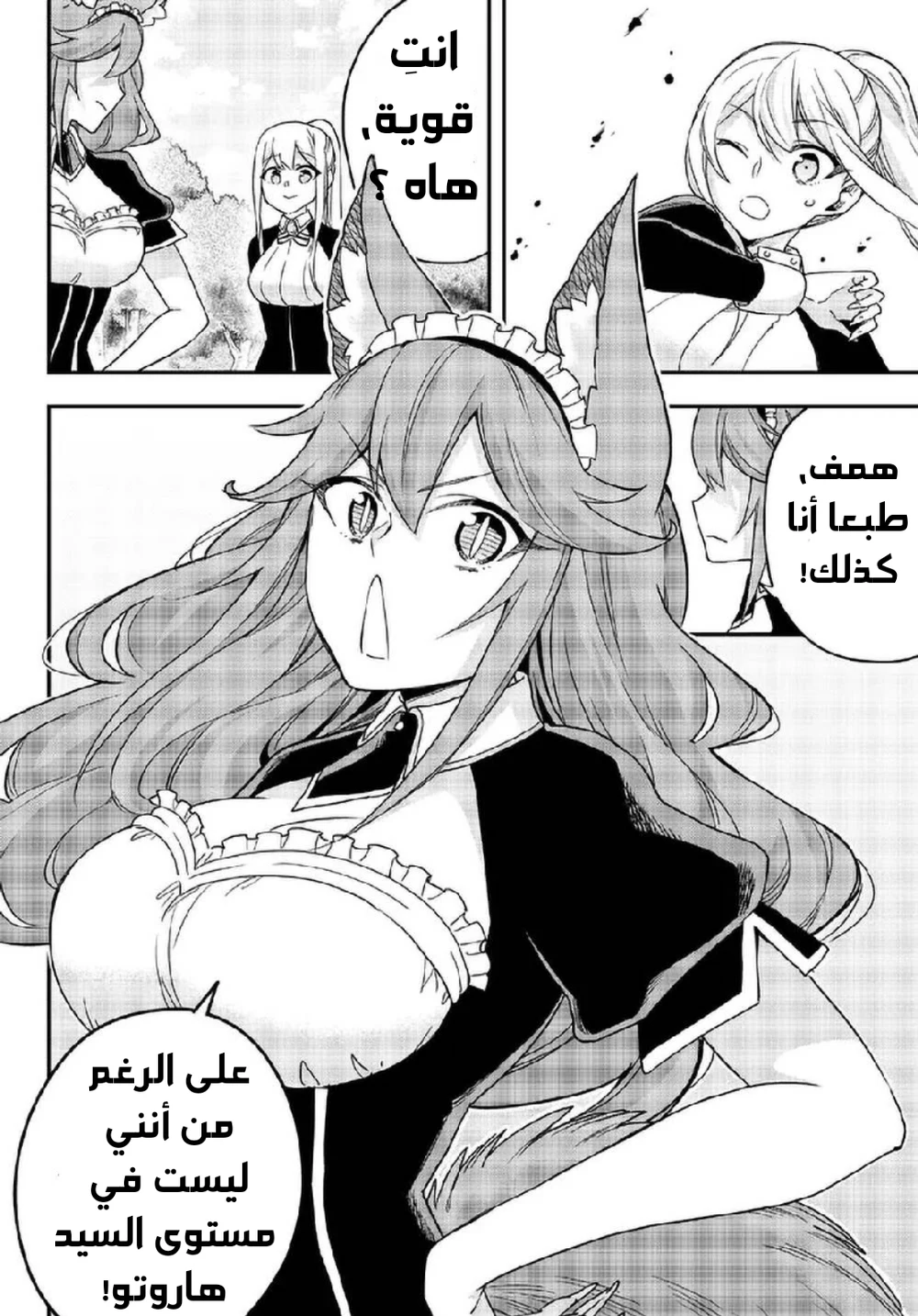 Chapter Image 11