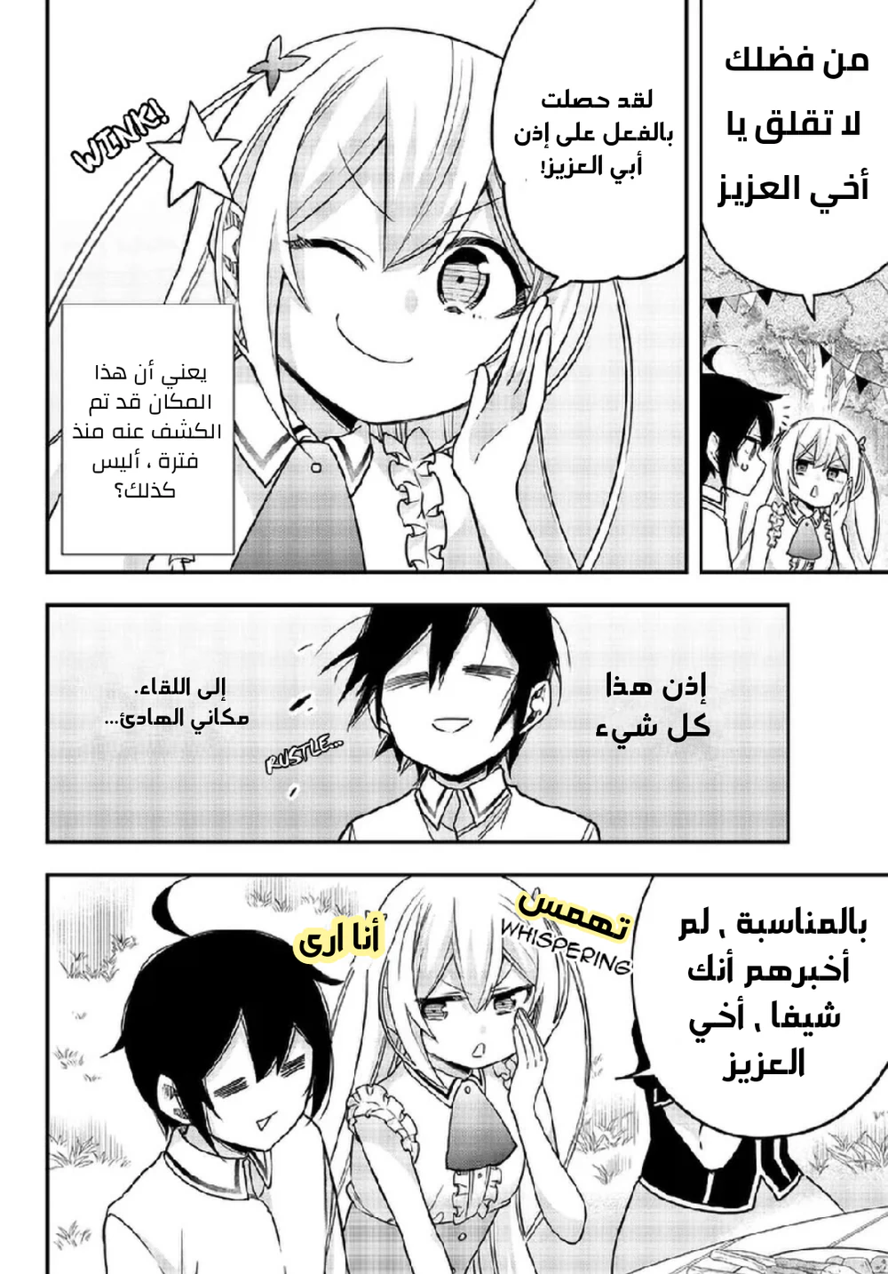 Chapter Image 11