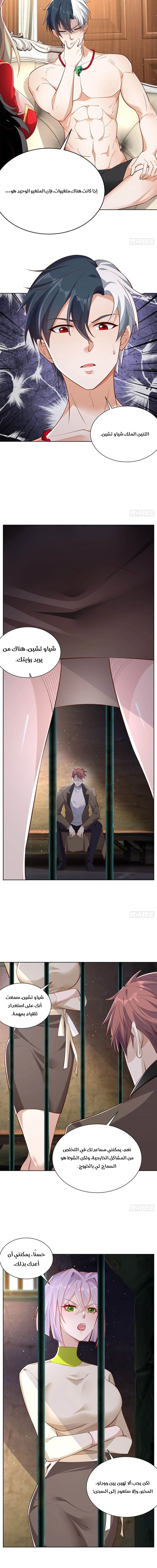 Chapter Image 8