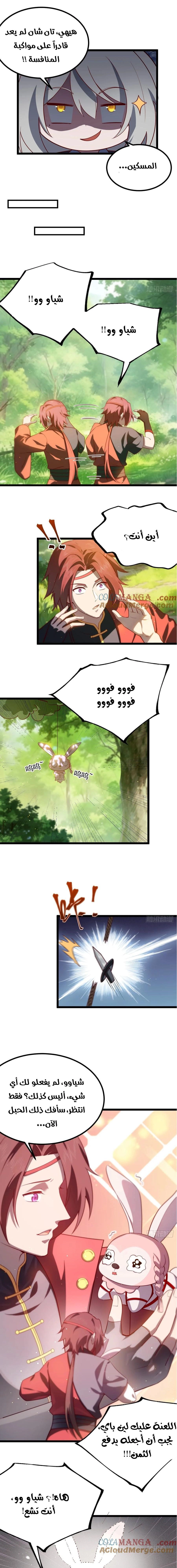 Chapter Image 7