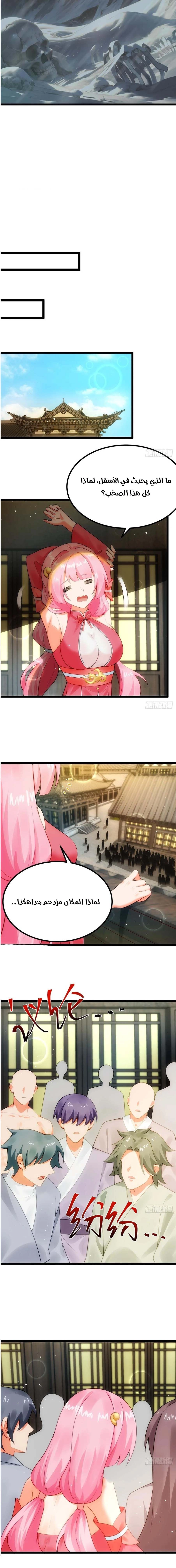 Chapter Image 5